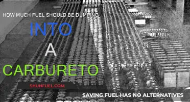 Fuel Dumping: Carburetor Efficiency and Mileage