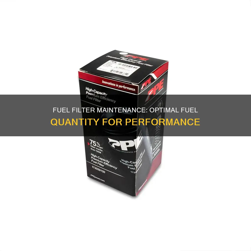 how much fuel should be in a fuel filter
