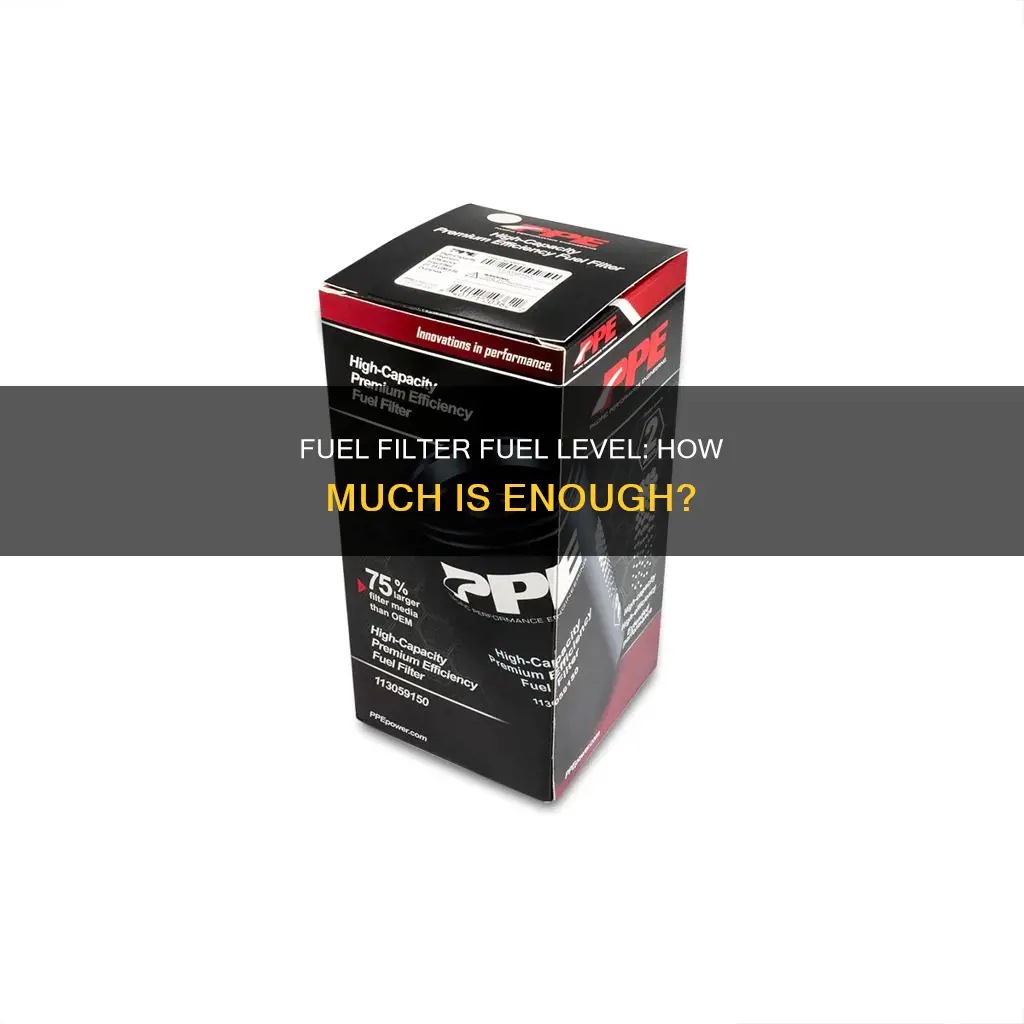 how much fuel should be in an inline fuel filter