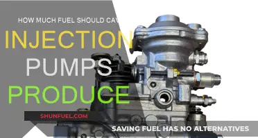Cav Injection Pumps: Fuel Output Expectations Explained