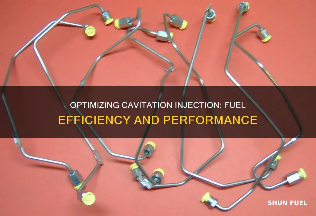 how much fuel should come out of cav injection lines