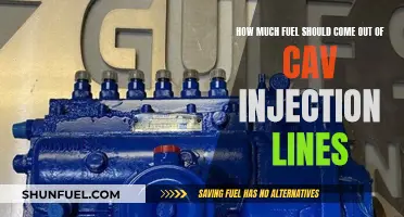 Fuel Output Expectations for Cav Injection Lines