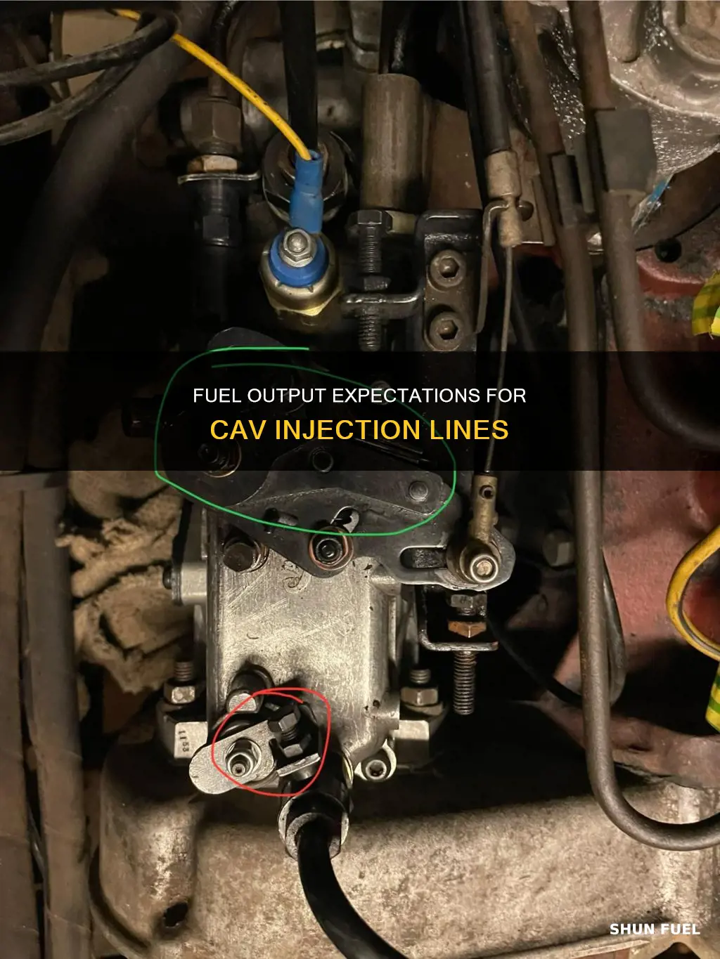how much fuel should come out of cav injection lines