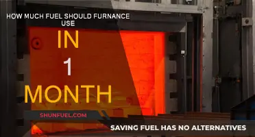 Furnace Fuel Efficiency: Monthly Usage and Costs