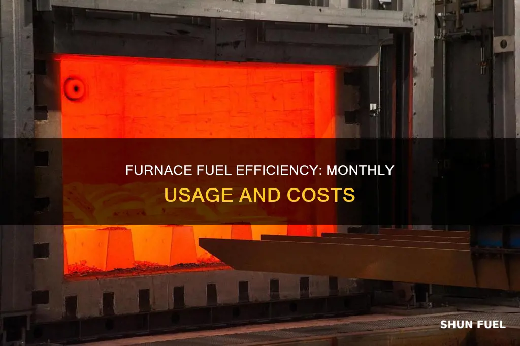 how much fuel should furnance use in 1 month