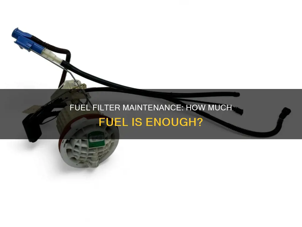 how much fuel should i see in my fuel filter