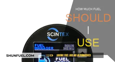 Fuel Efficiency: How Much is Too Much?