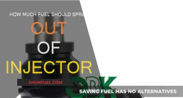 Fuel Injector Output: How Much Fuel is Enough?