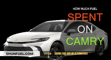 Fuel Efficiency: Camry's Performance and Spending