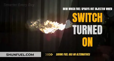 Fuel Injectors: How Much Fuel Sprays with Ignition?