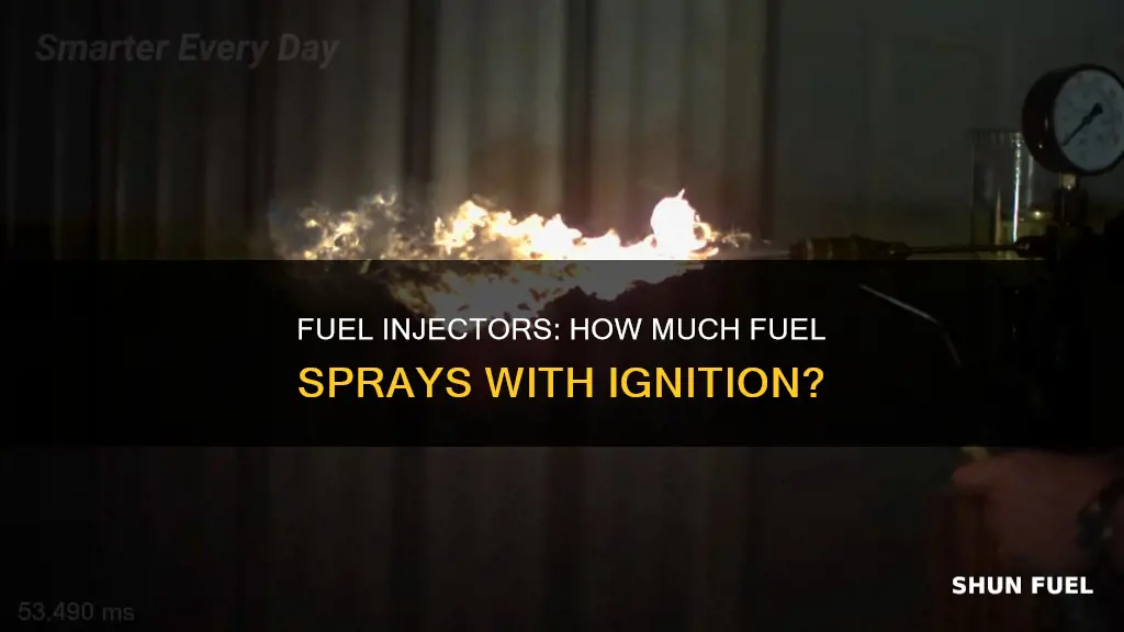 how much fuel sprays out injector when switch turned on