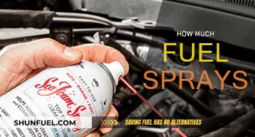 Fuel Spray Efficiency: How Much is Too Much?