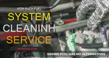 Fuel System Cleaning: Cost and Benefits Explained