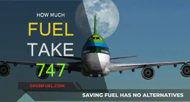 Fuel Consumption of a Jumbo Jet: 747's Massive Appetite