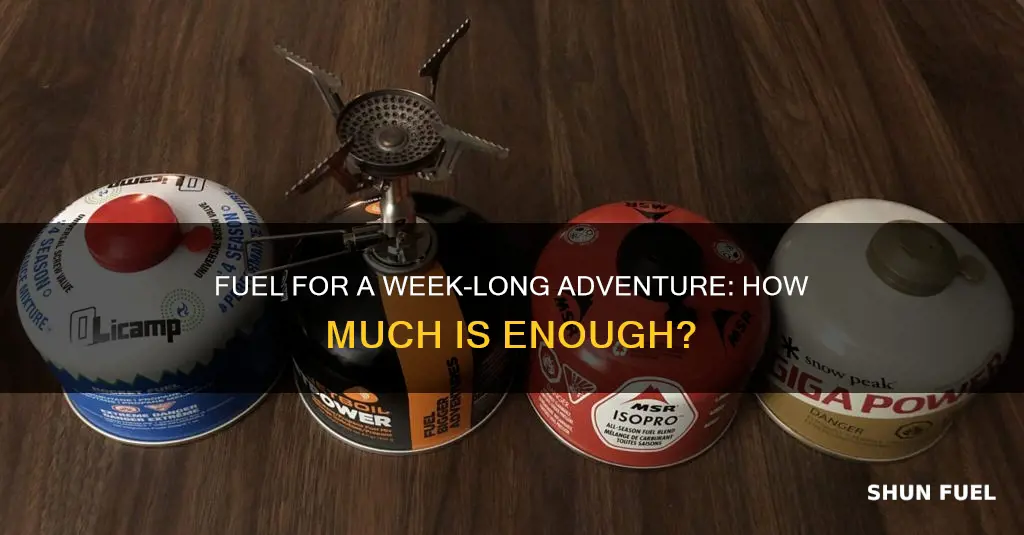 how much fuel to bring for 6 days