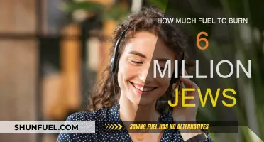 Holocaust Horrors: Fuel Required to Burn Six Million Jews