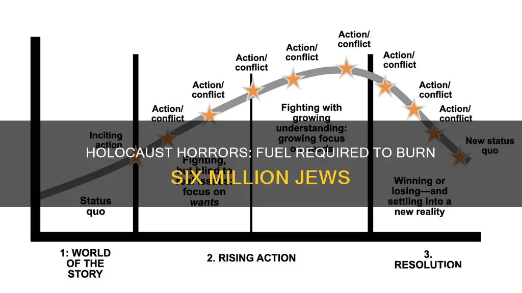 how much fuel to burn 6 million jews