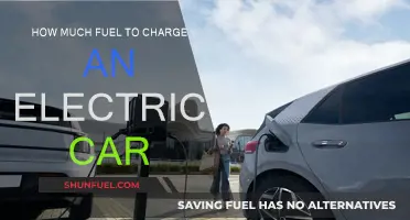 Charging an Electric Car: How Much Fuel Do You Need?