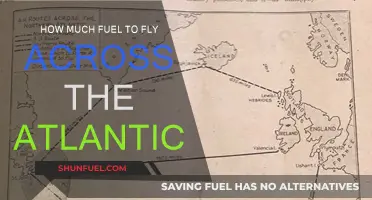 Fuel Consumption for Transatlantic Flights: How Much is Needed?