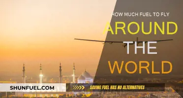 Fuel Consumption for an Around-the-World Flight