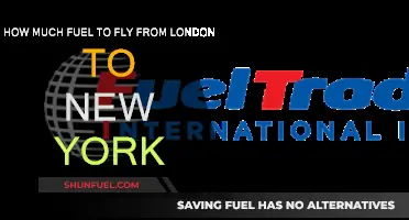 Fuel Consumption for a London to New York Flight