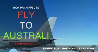 Fuel Costs for a Long-Haul Flight to Australia