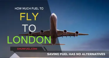 Fuel Costs for London-Bound Flights