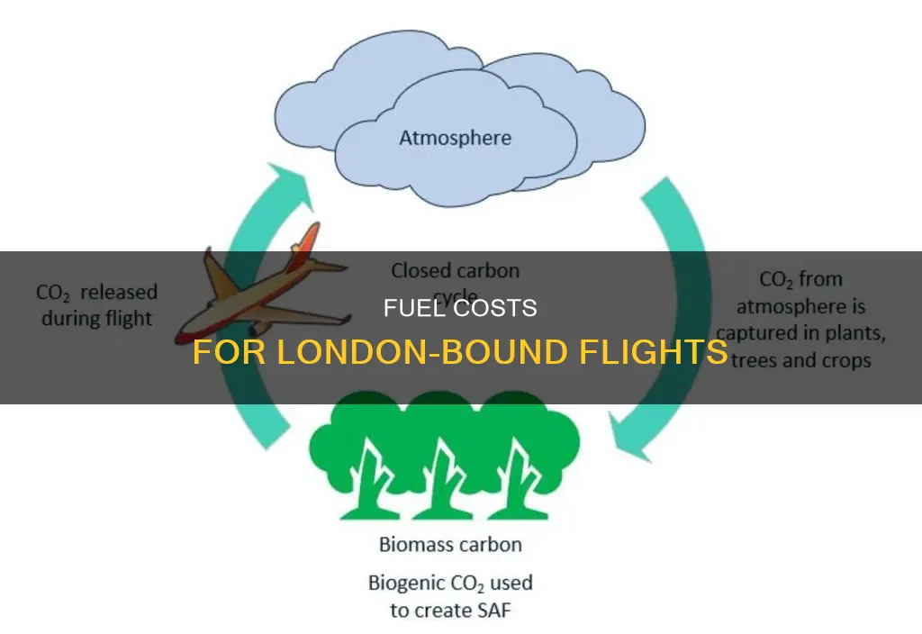 how much fuel to fly to london