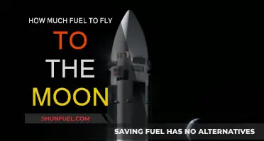 Exploring the Moon: Fuel Requirements for the Journey