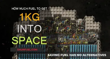 Fuel Costs: 1kg to Space