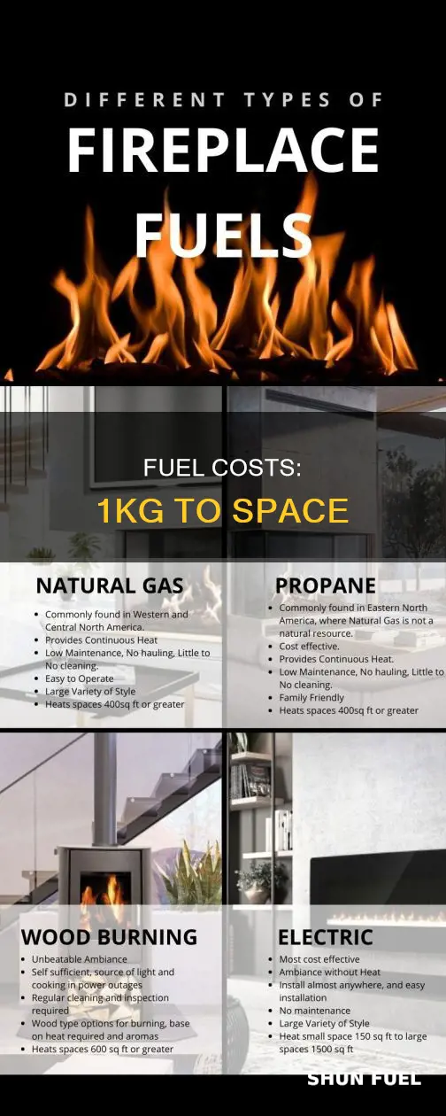 how much fuel to get 1kg into space