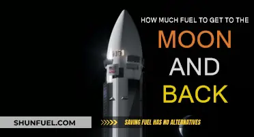Exploring the Moon: Fuel Requirements for a Lunar Trip