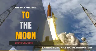 The Moon Mission: Fuel Requirements and Challenges