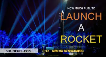 Exploring Rocket Launch Fuel Requirements