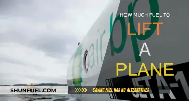 Fuel Efficiency: Lifting a Plane Off the Ground