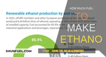 Making Ethanol: How Much Fuel is Needed?