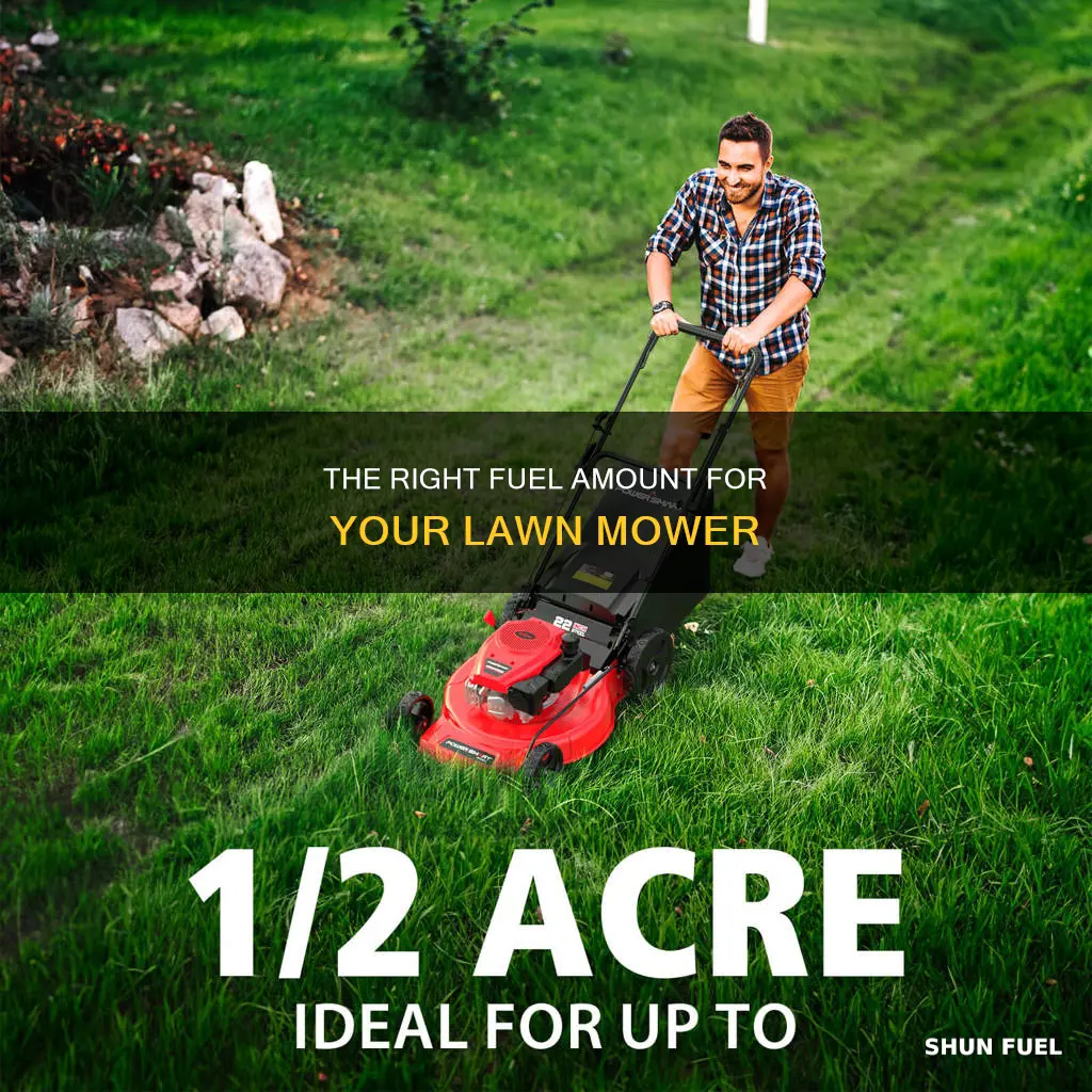 how much fuel to put in law nmower