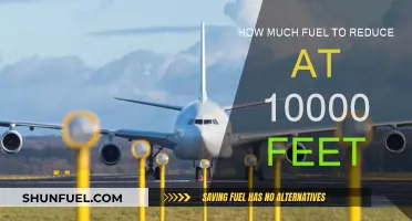 Fuel Reduction Strategy: 10,000 Feet Descent
