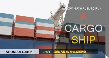 The Energy Cost of Cargo Shipping
