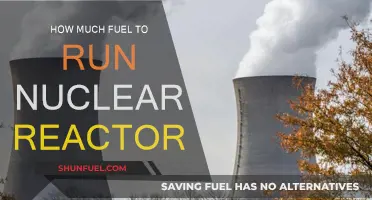 Nuclear Reactor Fuel: How Much Is Required?