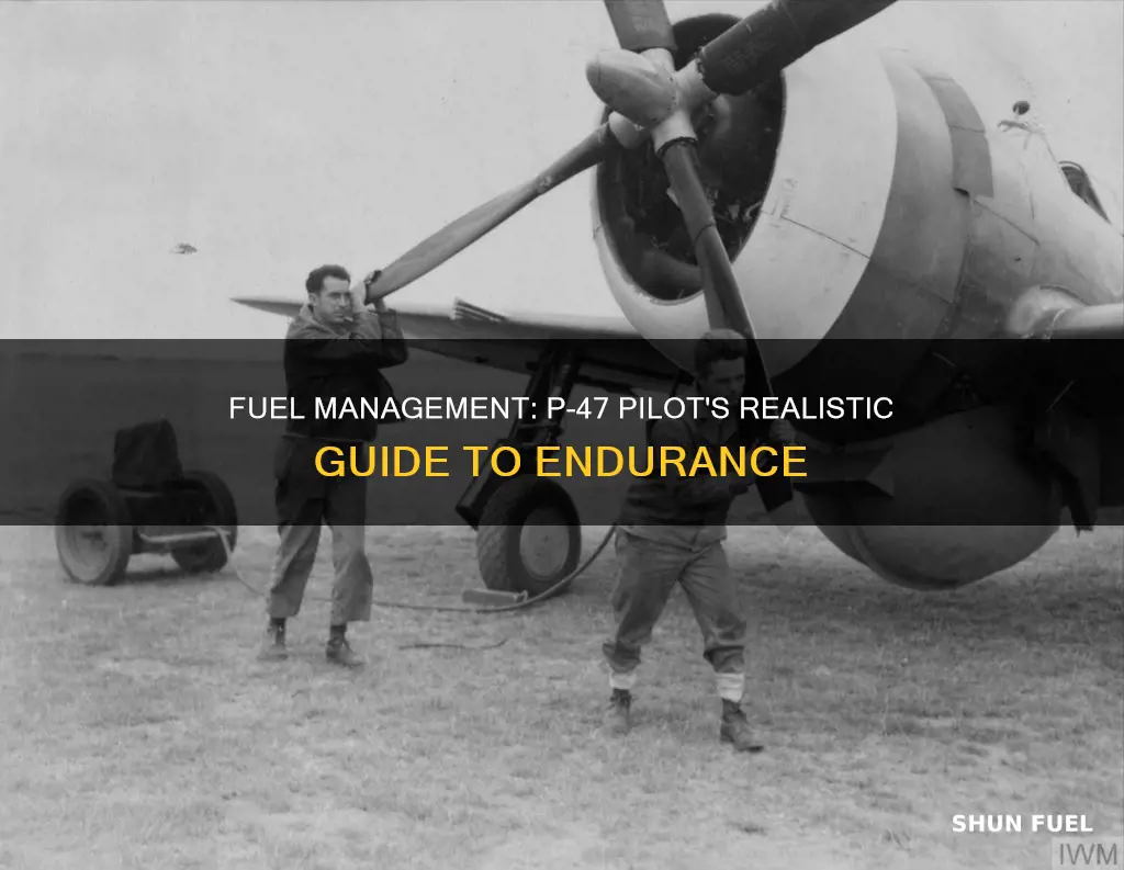 how much fuel to take p47 realistic