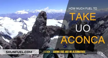 Fuel for the Summit: Conquering Aconcagua