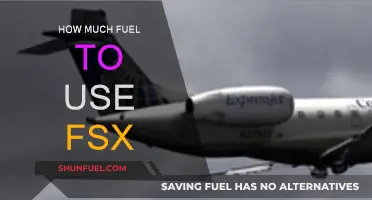 Fuel Efficiency in FSX: How Much to Use?