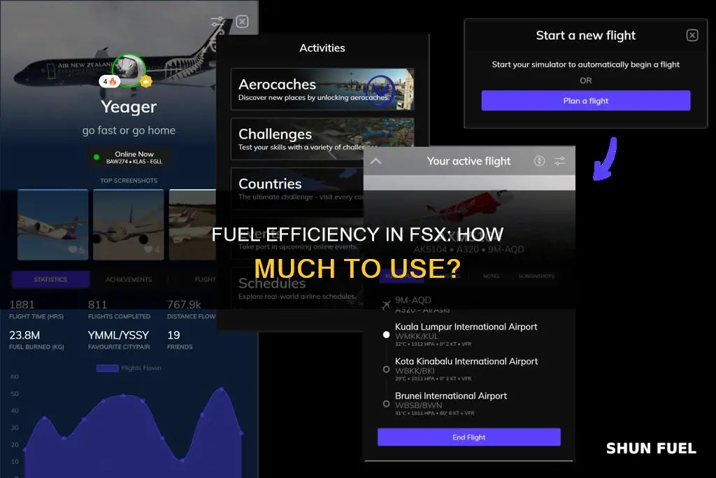 how much fuel to use fsx