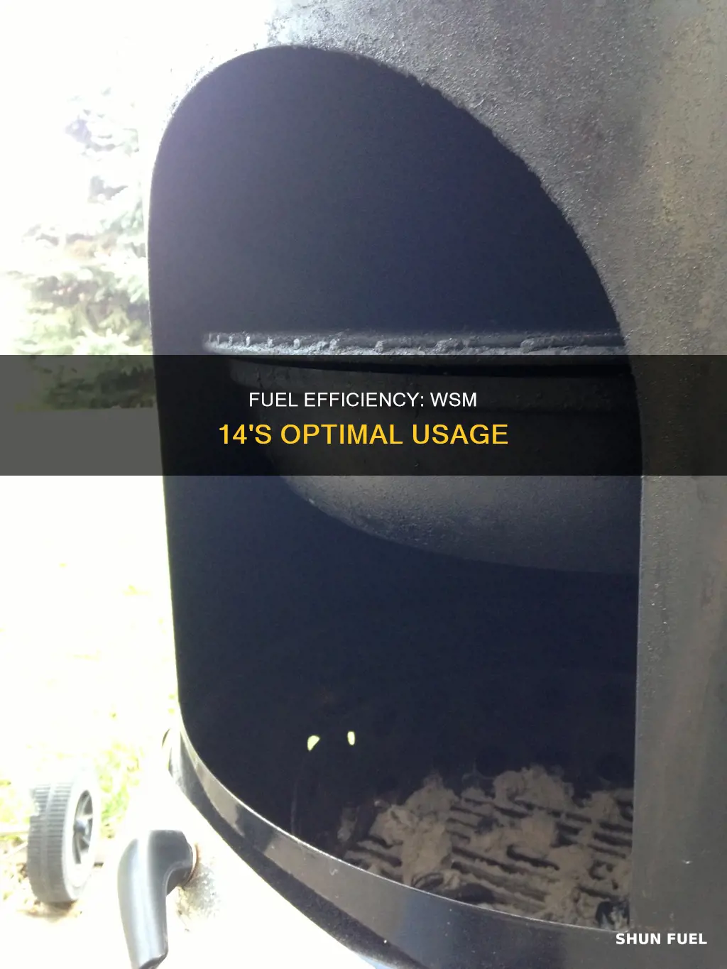 how much fuel to use wsm 14