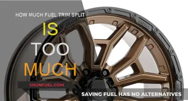 Fuel Trim Split: When Is It Too Much?