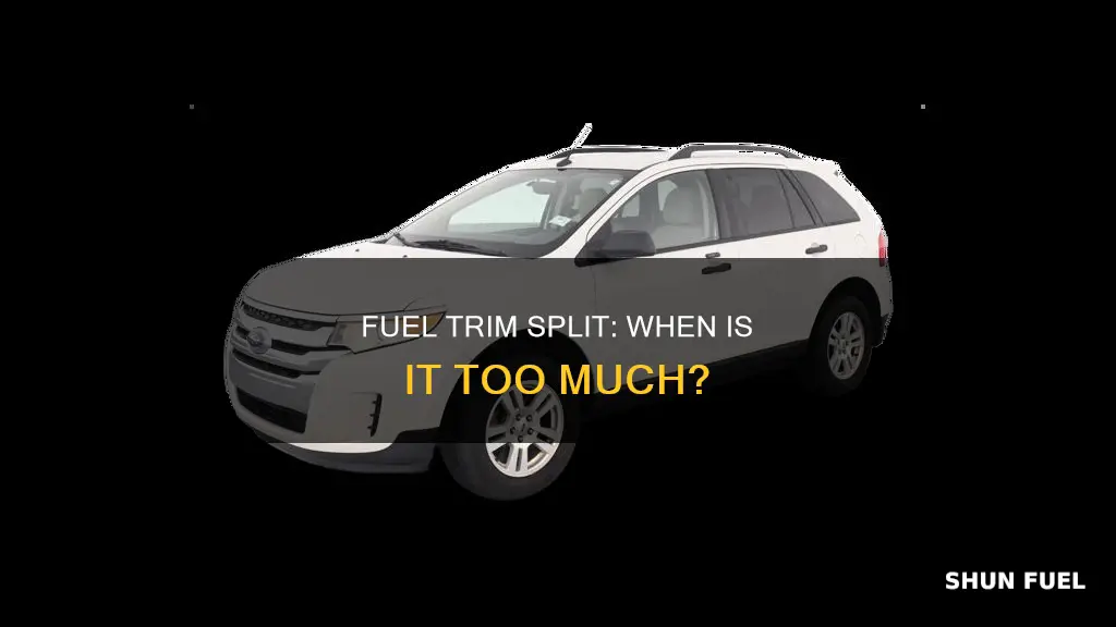 how much fuel trim split is too much