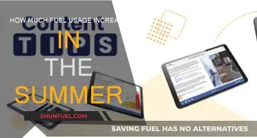 Summer Fuel Usage: A Significant Spike on the Roads