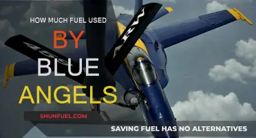 Blue Angels' Fuel Consumption: How Much Is Too Much?
