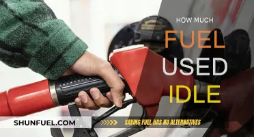 Idling Cars: Fuel Consumption and Environmental Impact